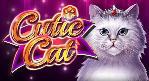 Cutie Cat slot – adorable white cat slot with sparkles and tiara